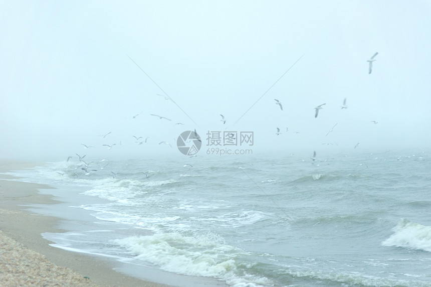 海上的海鸥海岸线历史旅行摄影天气生活风景海洋场景鸟类图片