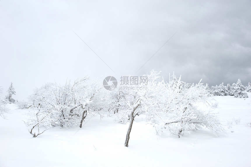 冬季风景城市天空美丽地形季节乐趣森林蓝色假期木头图片