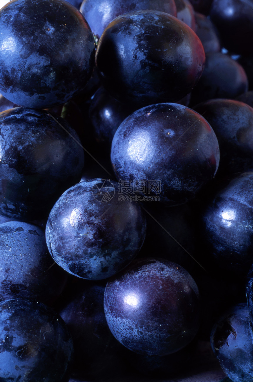 葡萄酒葡萄美味酿造酒厂藤蔓蓝色葡萄干葡萄园农业健康饮食图片