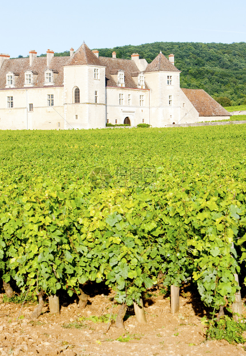城堡 法国伯根迪宫殿旅行建筑物栽培农业建筑酒庄位置乡村国家图片