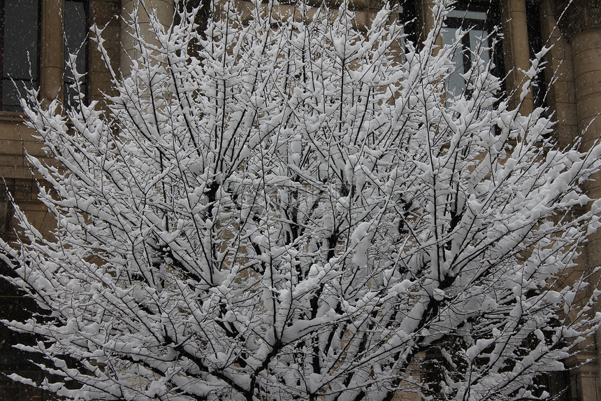 雪森林天空寒冷乡村白色小路车道季节场地公园图片
