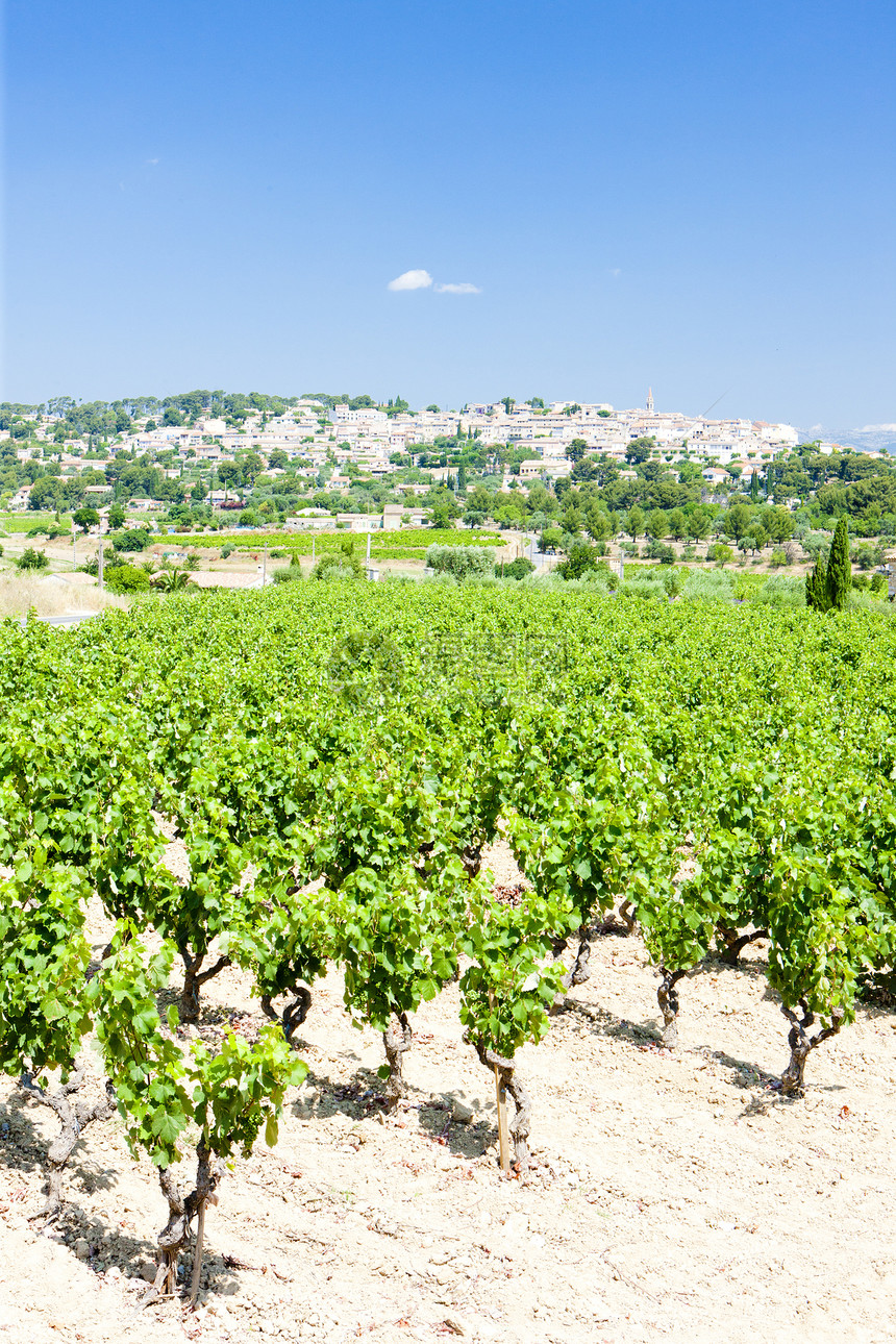 法国普罗旺斯 具有葡萄园的Azur和Azur栽培植被农业葡萄外观位置旅行种植世界图片