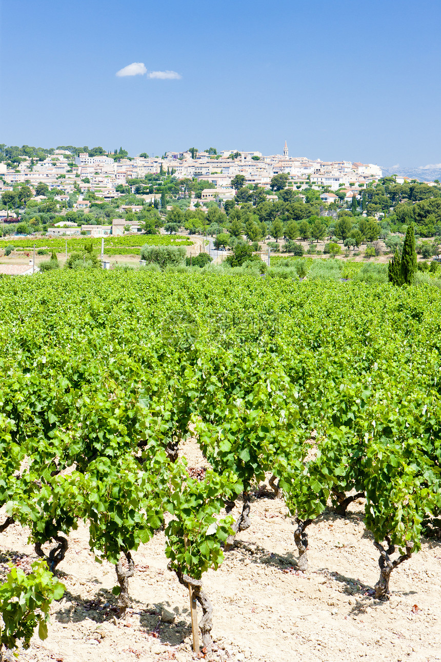 法国普罗旺斯 具有葡萄园的Azur和Azur旅行世界栽培葡萄植被位置农业种植外观图片