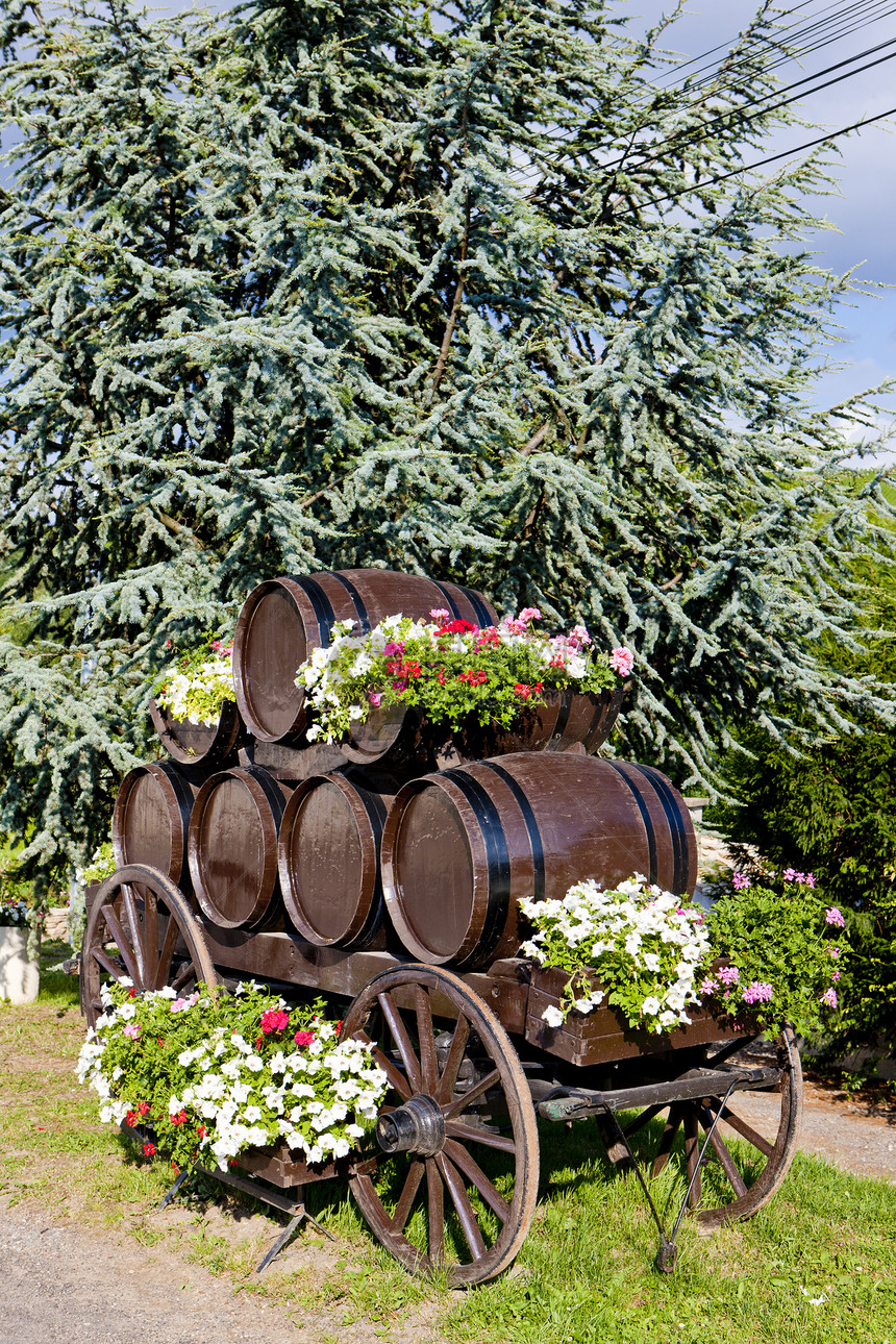 法国伯根迪富塞栽培葡萄酒业外观静物木桶图片