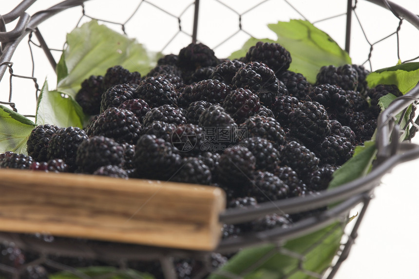 篮子中的黑莓食品种植浆果营养静物黑色内饰食物水果维生素图片