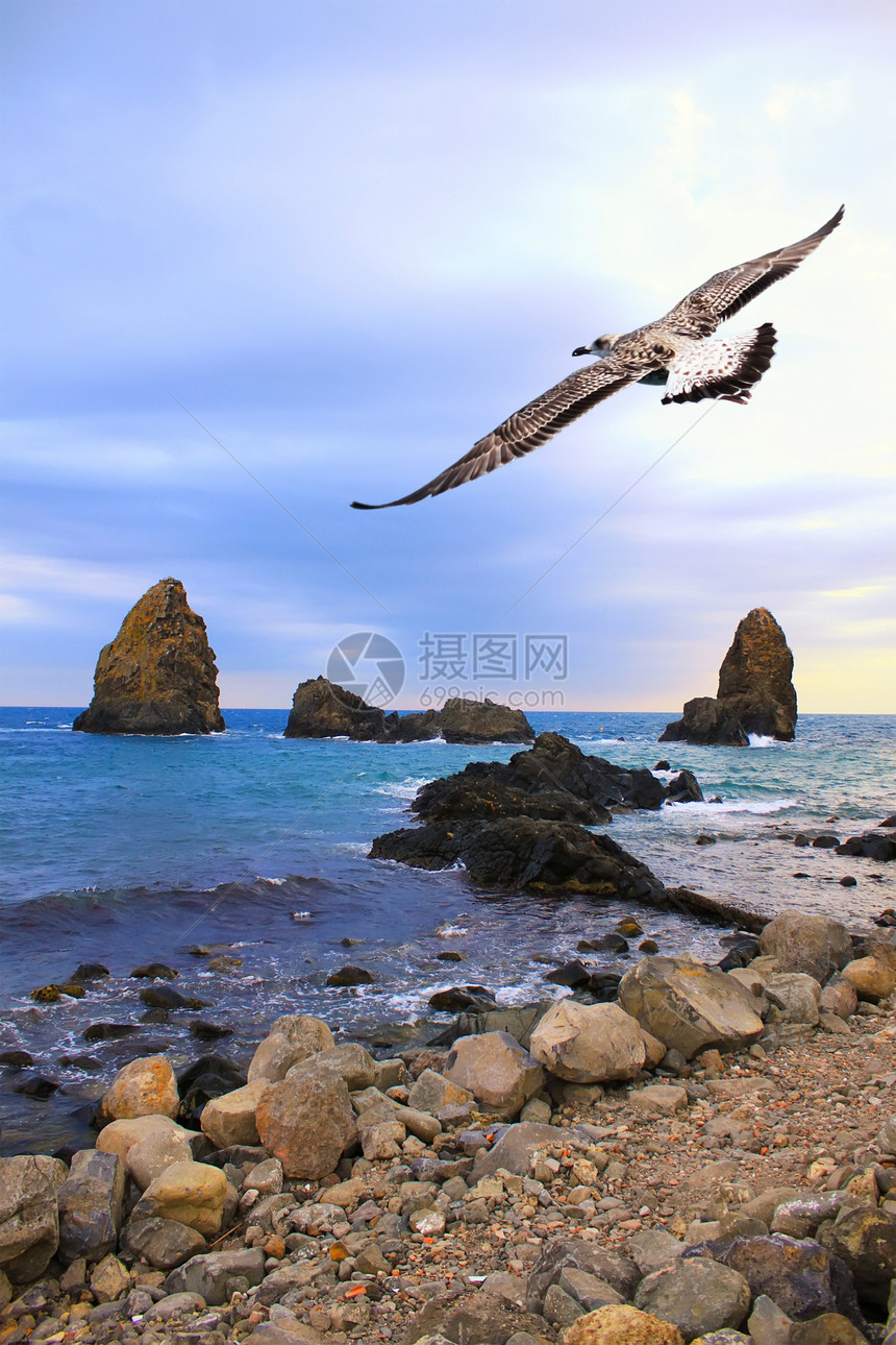 阿希特雷扎石头海鸥天空海浪海岸线海岸岩石图片