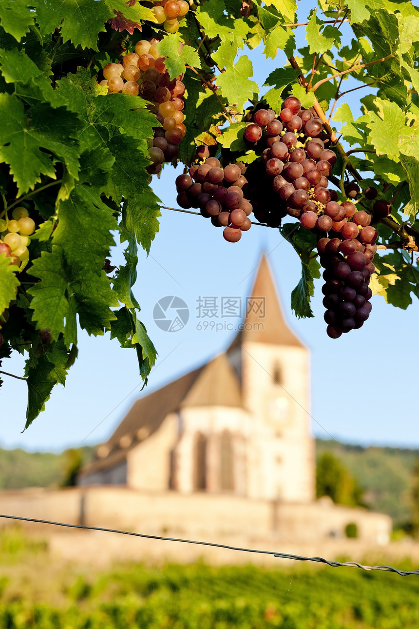 法国阿尔萨斯州湖纳维赫尔 Hunawihr历史性旅行景点乡村栽培葡萄园教会农业外观位置图片