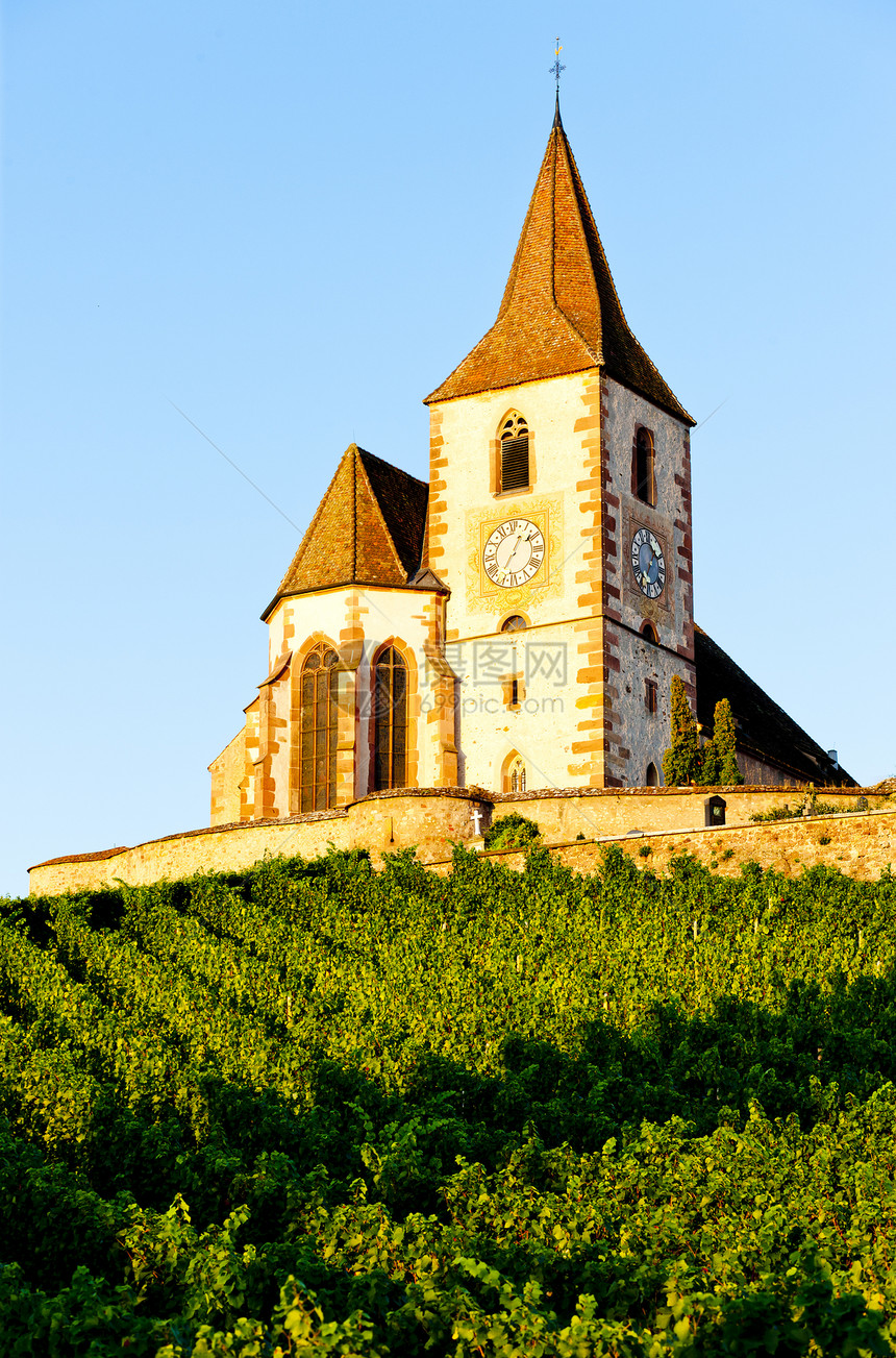 法国阿尔萨斯州湖纳维赫尔 Hunawihr葡萄园栽培教会位置历史景点旅行建筑历史性国家图片