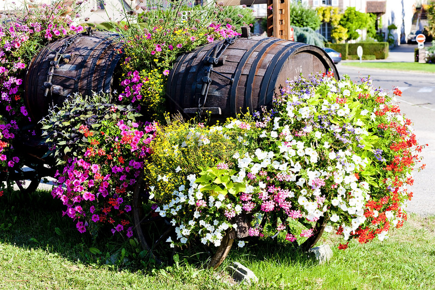 法国阿尔萨斯酒业外观国家葡萄栽培静物乡村农村木桶图片