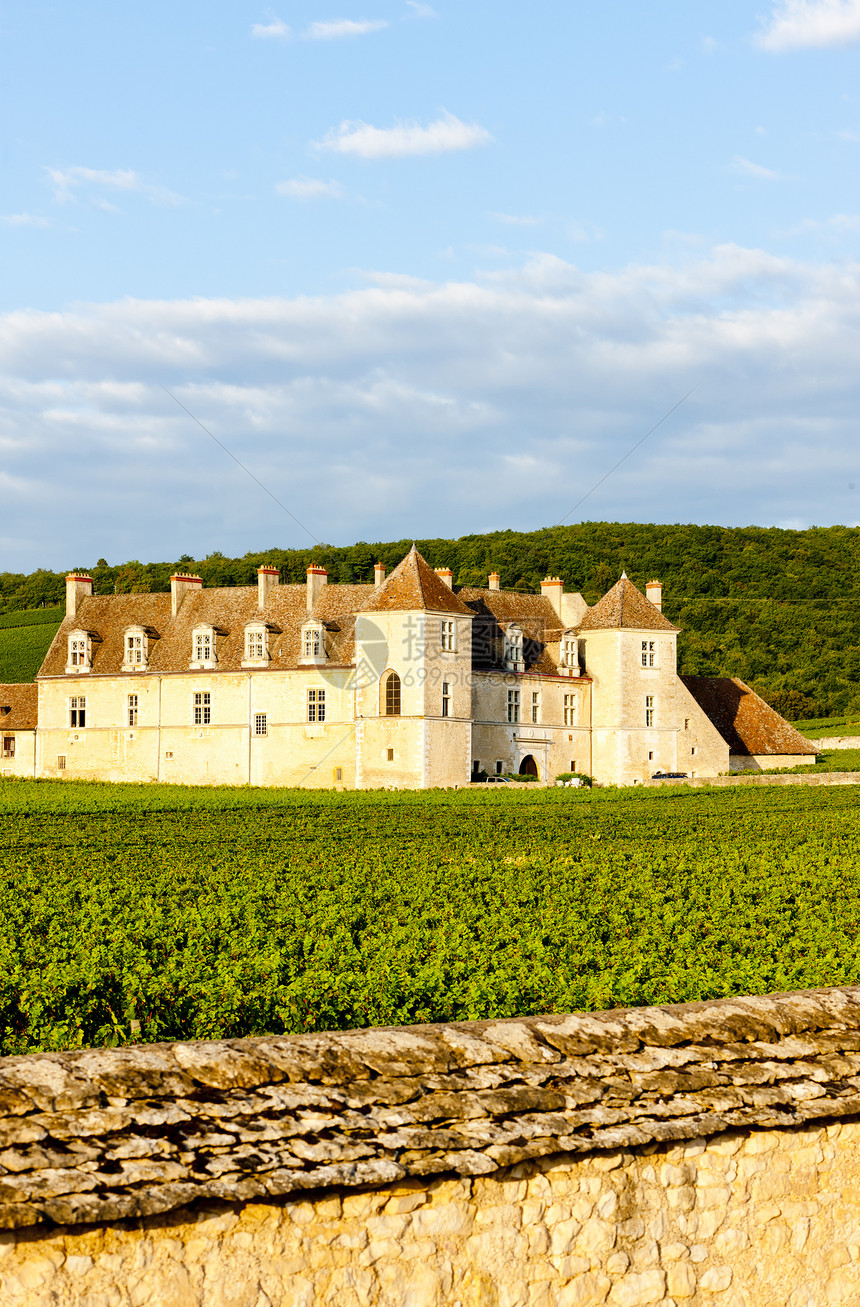 城堡 法国伯根迪建筑外观建筑学旅行农村国家世界葡萄园栽培位置图片