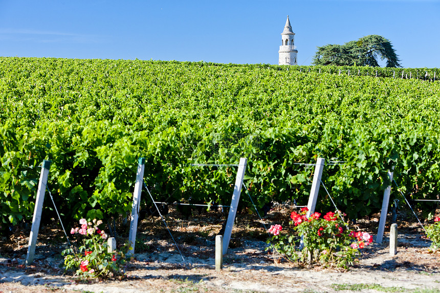 法国波尔多州博尔多地区 By旅行葡萄城堡外观世界葡萄园栽培玫瑰建筑位置图片