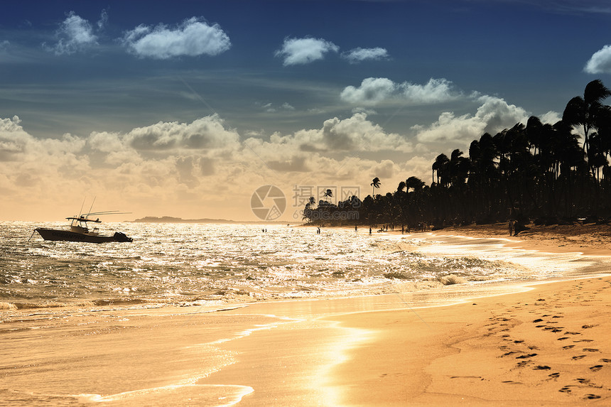 日落海滩异国场景橙子支撑剪影天空娱乐假期海景椰子图片