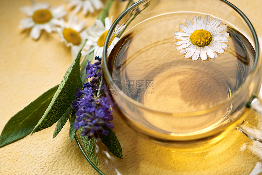 Camomile 茶玻璃渣绿色草药凝胶球座杯子健康状况甘菊花花草甘菊图片