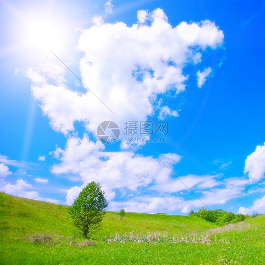 夏季风景天堂环境天空太阳多云蓝色草地植物阳光图片