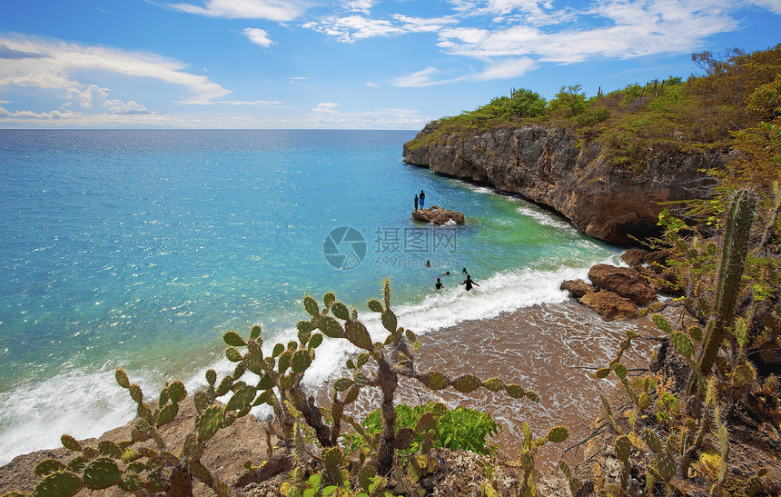 库拉索假期绿色热带海洋白色风景植物天空蓝色图片