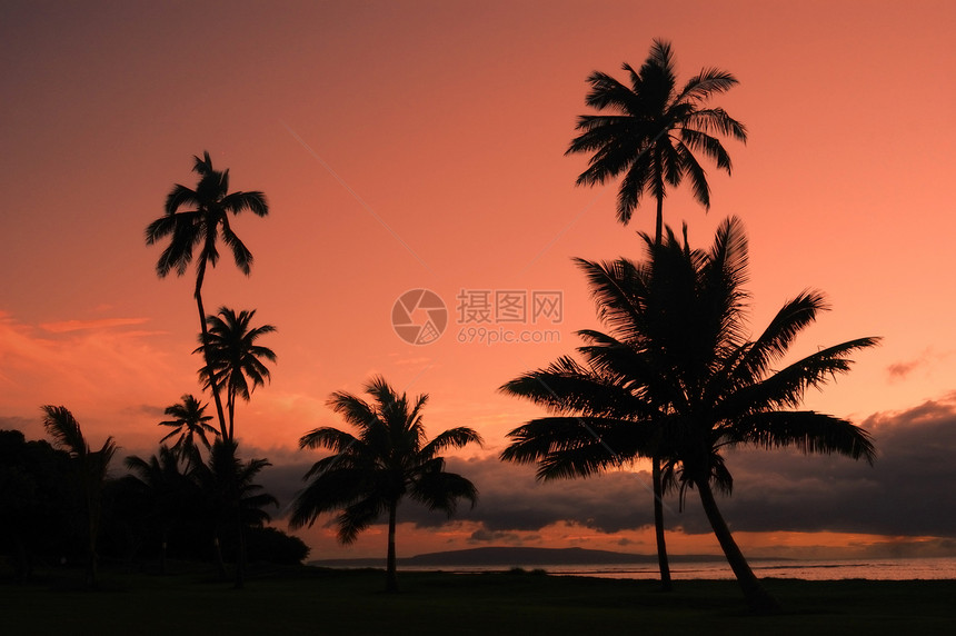 夏威夷日落旅游海洋棕榈戏剧性异国反射太阳旅行热带情调图片