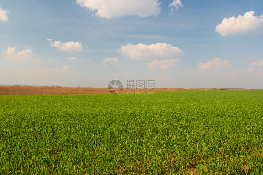 外地休闲农业日光国家农村草地蓝色培育风景环境图片