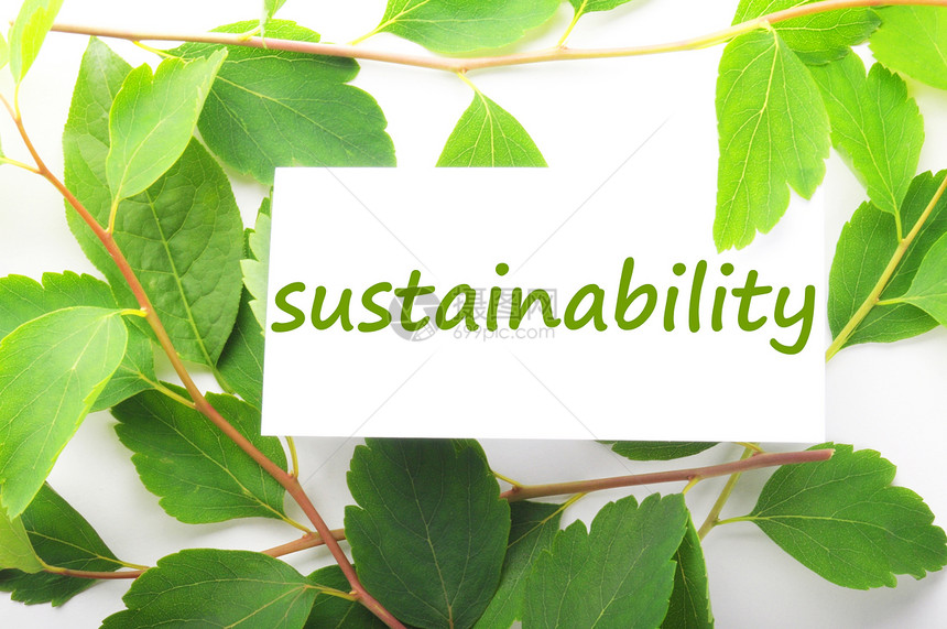 可持续性力量叶子解决方案生态地球商业创造力活力图片