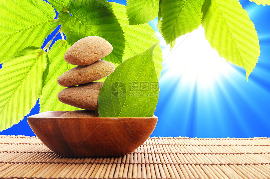 十六石太阳药品叶子树叶生态绿色植物白色温泉平衡图片