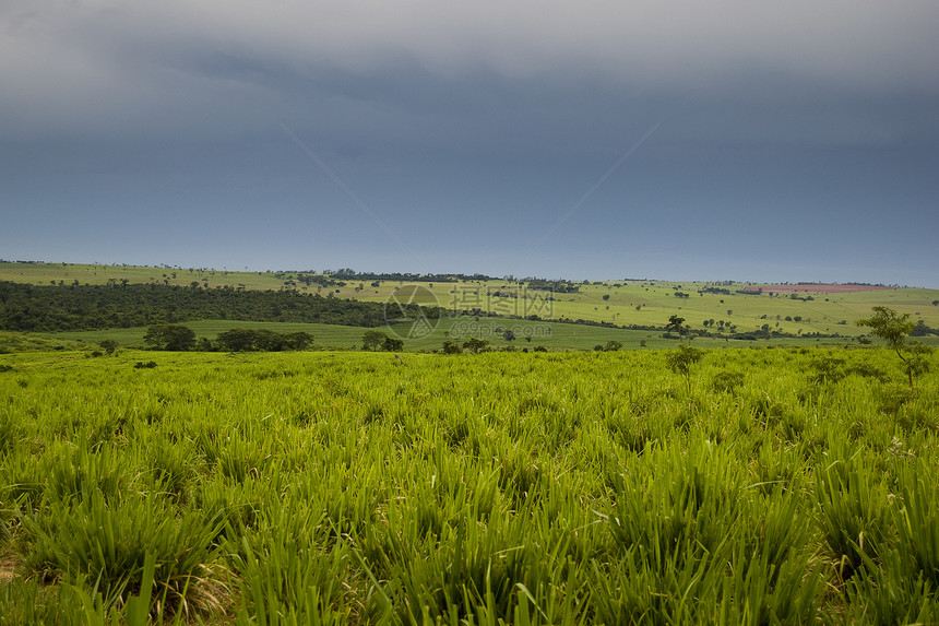 下雨日场地植物天空风景气氛环境地形草地天气草原图片