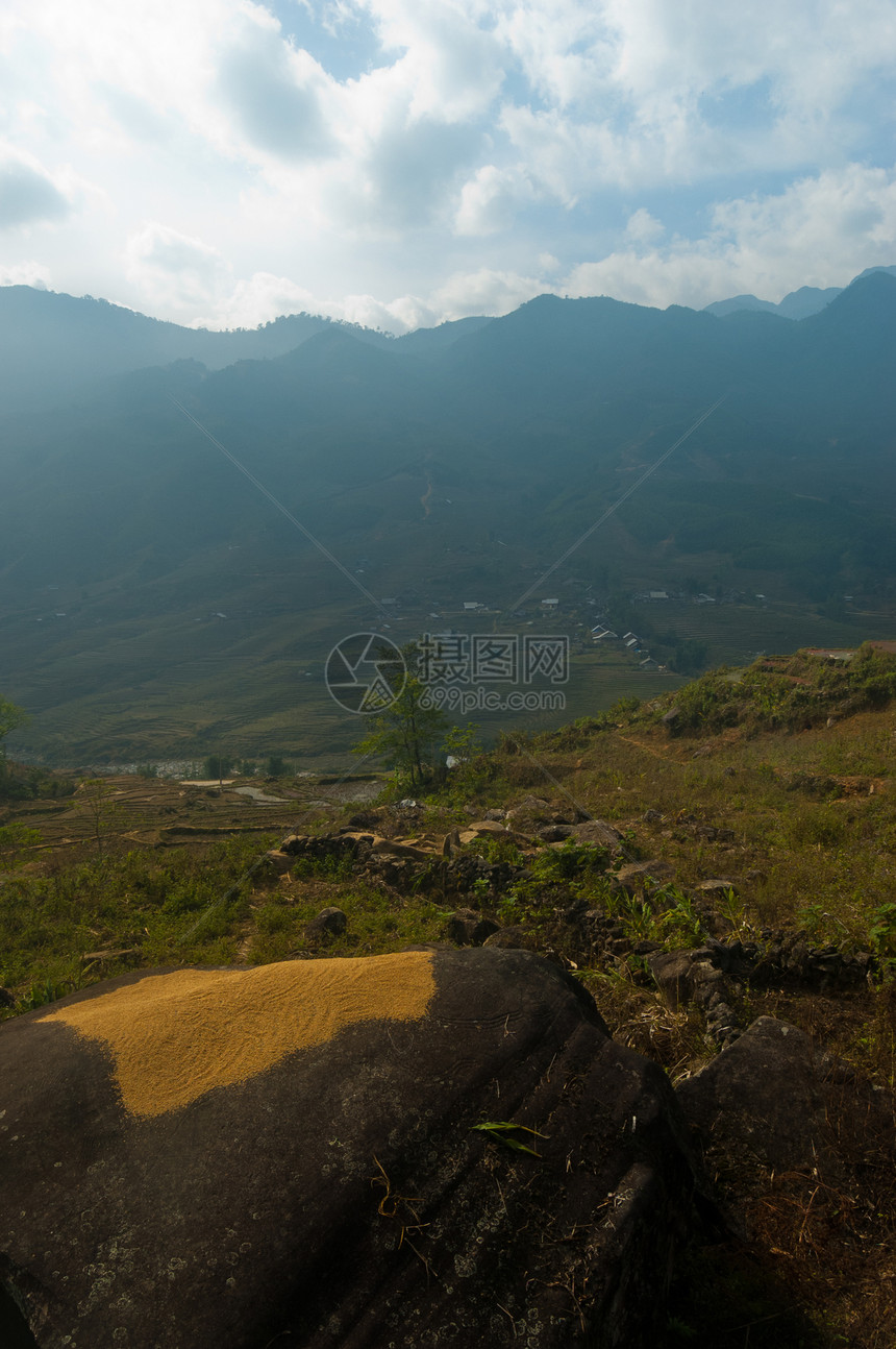 收获时间阳台粮食谷物农业乡村场地风景黄色旅行爬坡图片