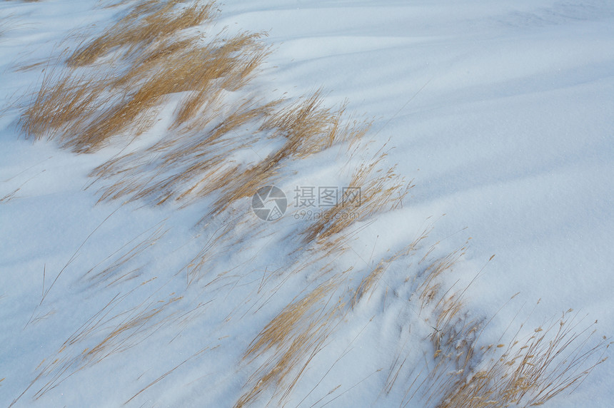 风吹雪时的青草冻结漂移草原雪堆图片