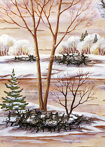冬季风景公园木头天气雪堆桦木瘟热手工业生态寒冷艺术高清图片