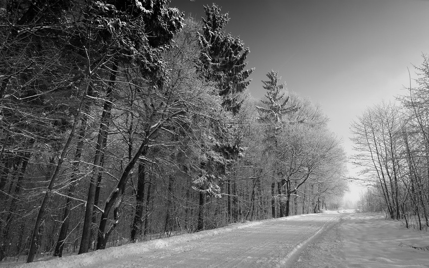 下雪路树木假期风景季节天气反射土地车道森林白色图片