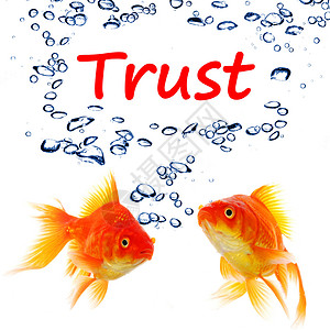 信任信托基金依赖气泡安全银行业受托人忠诚度信任银行活着白色背景图片