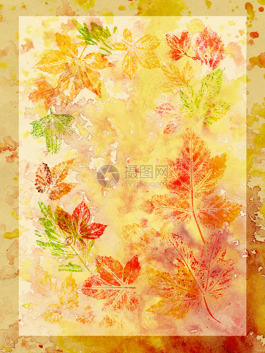 摘要背景 水彩 叶子染料艺术品木头装饰品橙子克力墙纸绘画季节艺术图片