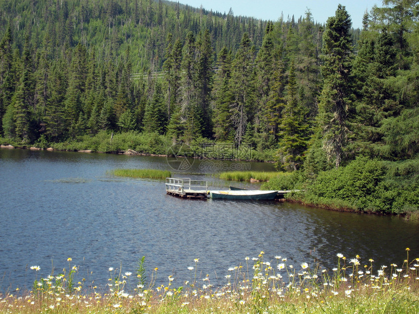 在QuebEC湖边的湖边游览森林蓝色植物天空针叶树云杉地平线荒野图片