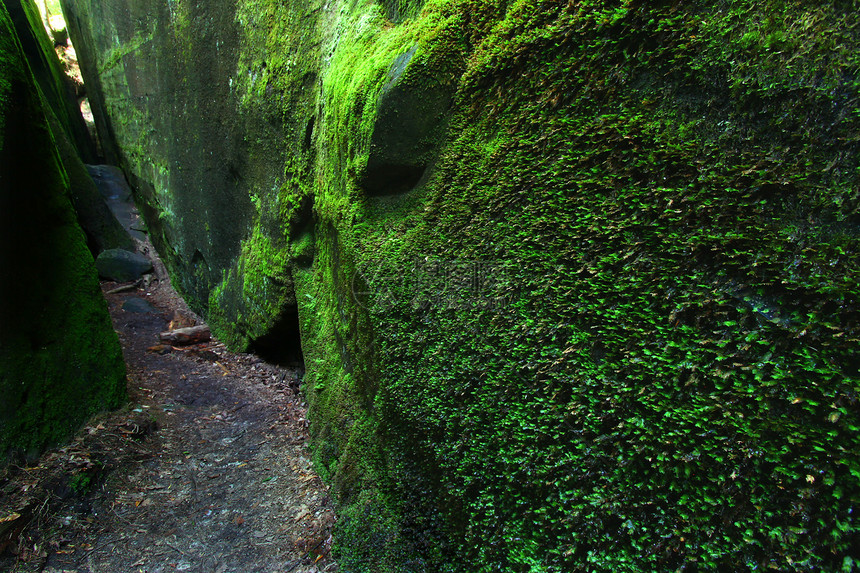 阿拉巴马的莫斯西峡谷场景公园旅行走廊荒野生态植被环境图片