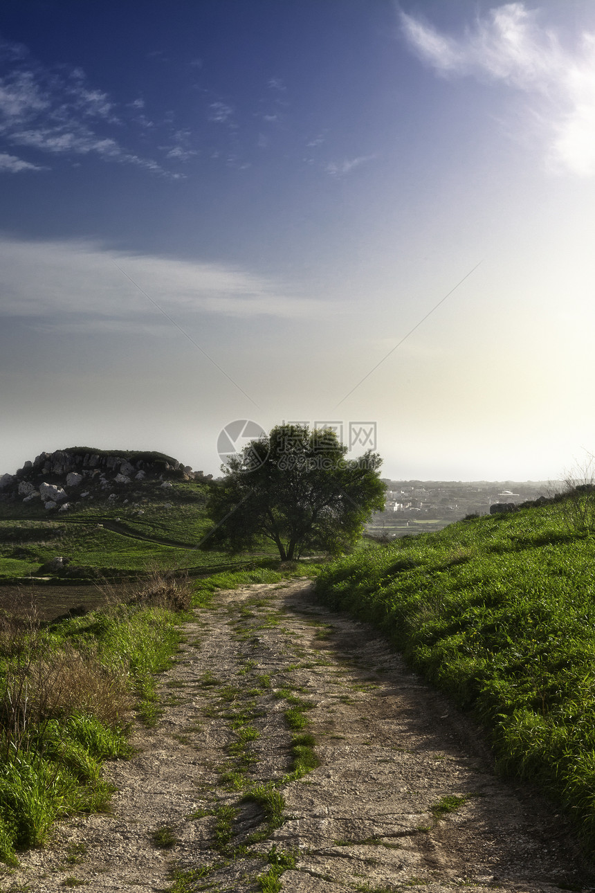 马耳他地区气候叶子绿色季节风景农村生态绿色植物爬坡蓝色图片