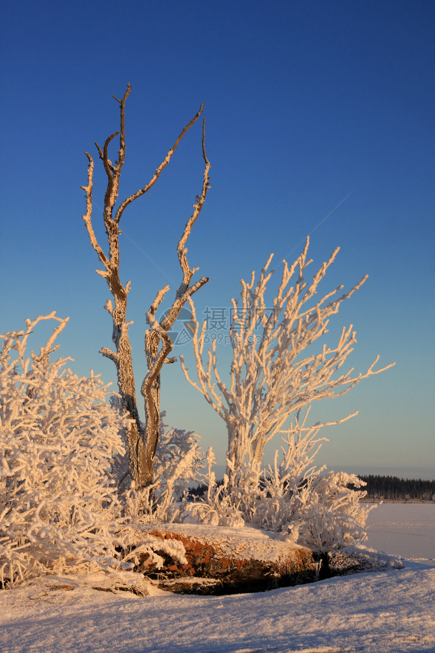 冬季风景水晶场地天空荒野天气小路晴天树木蓝色太阳图片