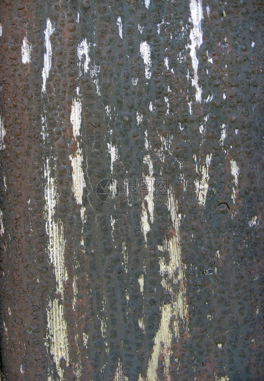 防风林背景的栅栏硬木松树木材材料古董控制板墙纸木板风化建筑图片