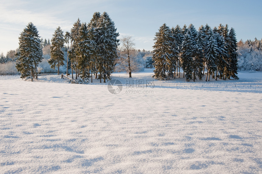 冬天天空风景树木荒野森林环境冻结季节性天气农村图片