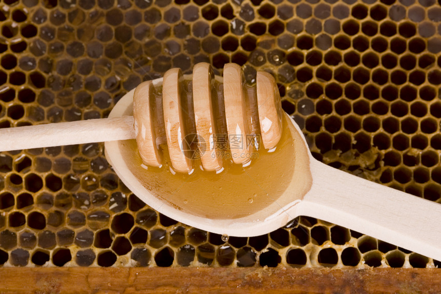 亲爱的蜂蜡医学动物勺子蜂蜜团队农场黄色健康饮食食物图片