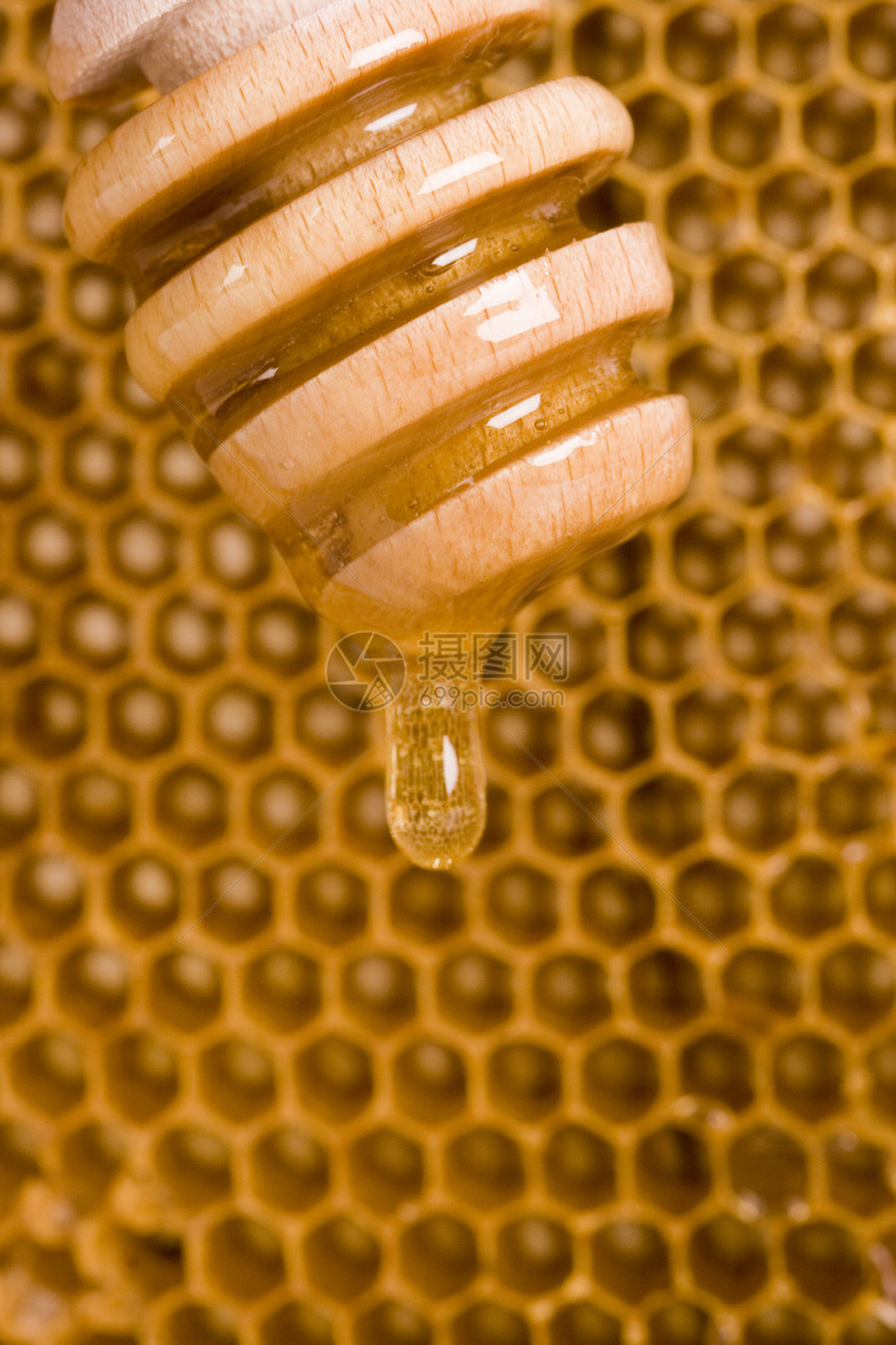 美味的蜂蜜团队食物医疗养蜂人蜂蜡动物蜜蜂黄色细胞蜂窝图片