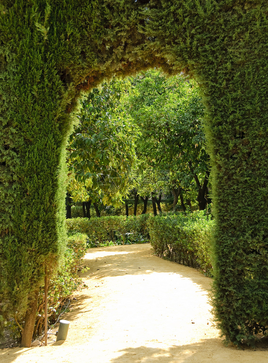 西班牙塞维利亚阿尔卡扎王室花园通道吸引力叶子植被地标公园人行道植物灌木衬套图片