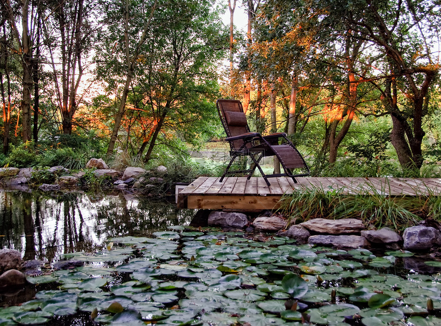 住宅园林花园灌木植物绿色椅子院子池塘石头树木晴天花朵图片