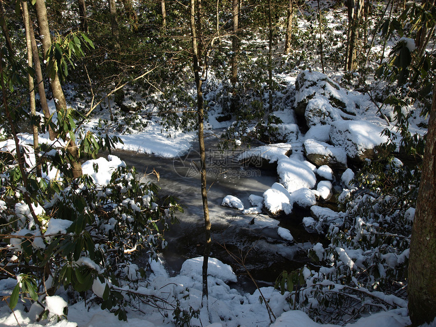 冷冻水岩石场景远足树木仙境白色森林乡村图片