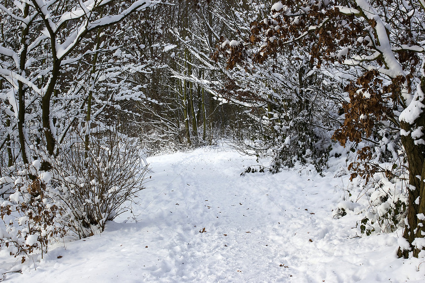 雪中冬季公园踪迹阳光旅游季节蓝色晴天远足寒冷风景国家图片