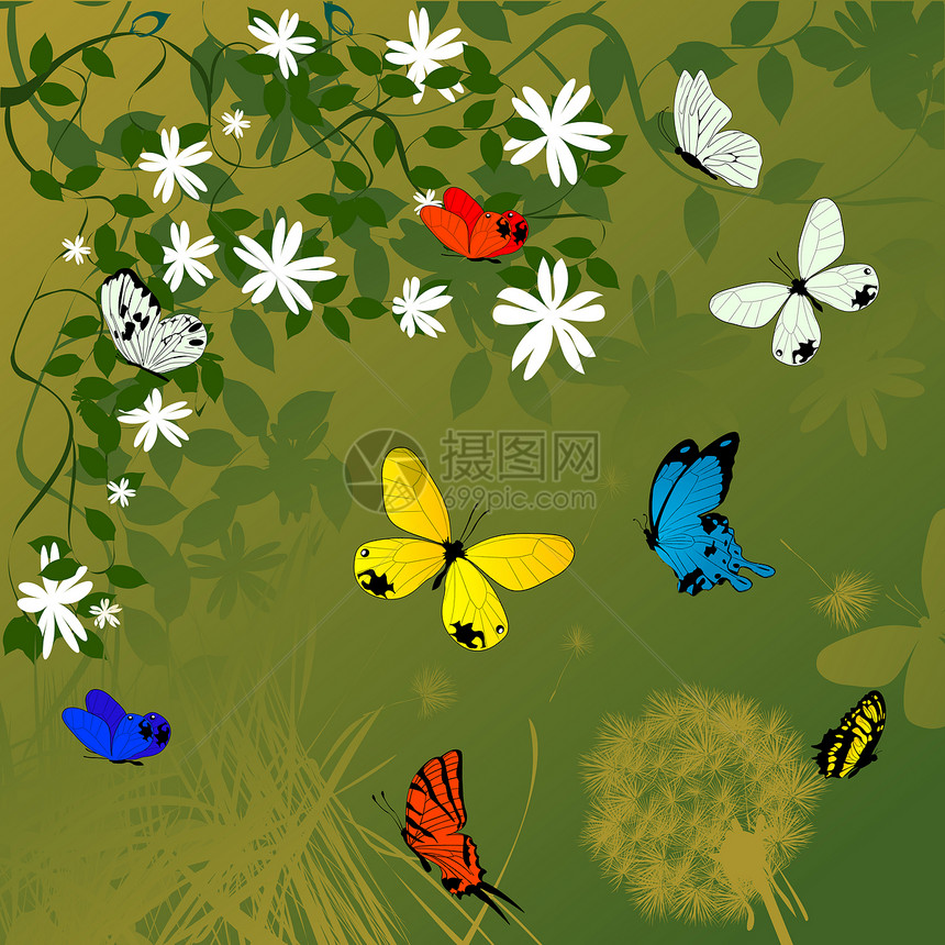 春季时间背景昆虫蝴蝶插图艺术图片