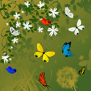 春季时间背景昆虫蝴蝶插图艺术背景图片
