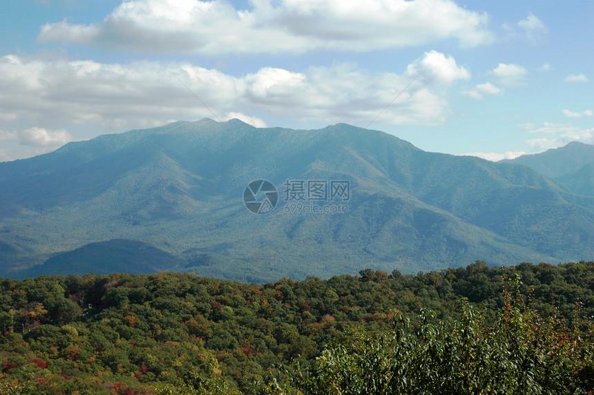 盖特林堡山山脉树木季节叶子数控分支机构森林树叶图片