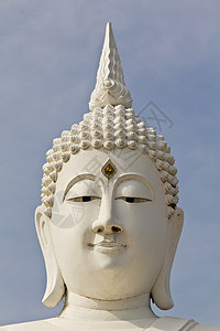 泰国寺庙的白脸布达图象背景图片