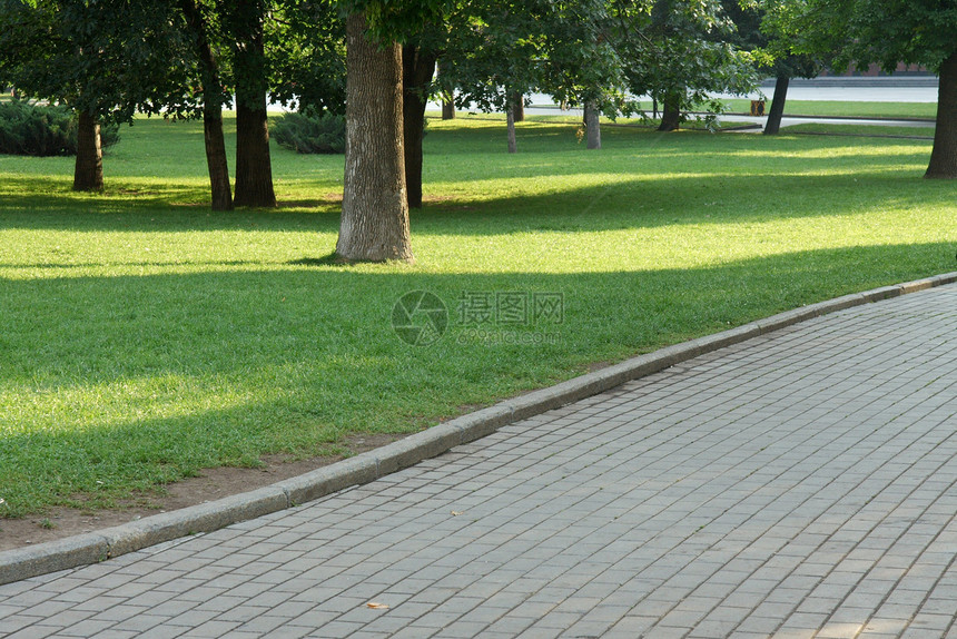 公园植物绿色花园草地人行道叶子环境石头路面小路图片