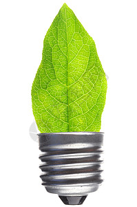 叶子创造力白色活力生长灯泡环境力量生态回收标签背景图片