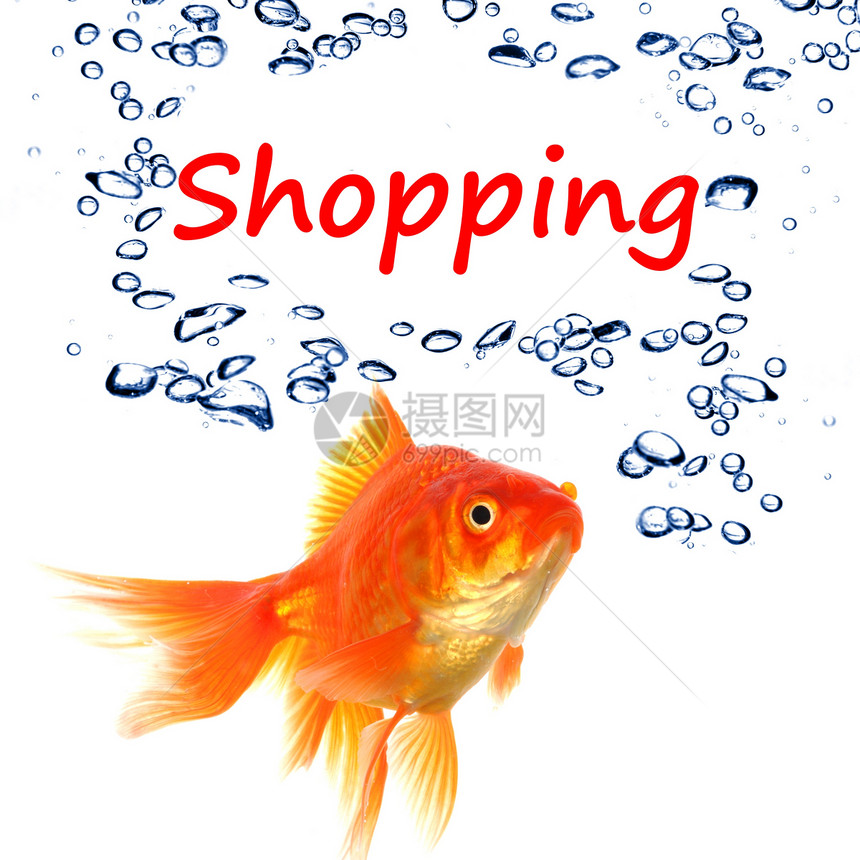 购物气泡营销零售广告顾客店铺商业市场金鱼动物图片