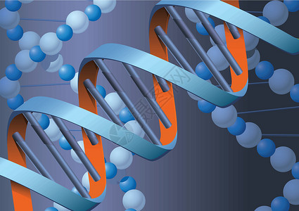 斯特雷克丹DNK 具有相形背景的DNK分子曲线技术科学插图生物学公式化学品实验室教育蓝色设计图片